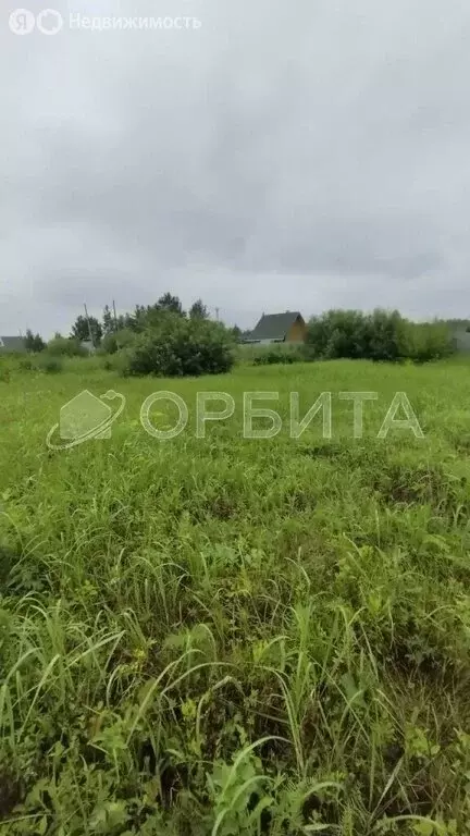 Участок в Тюменский муниципальный округ, СНТ Лесник-2 (12.34 м) - Фото 2