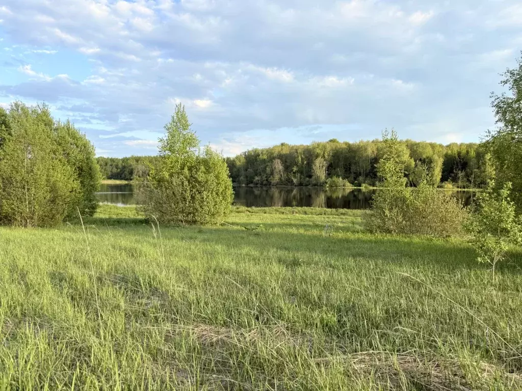 Участок в Московская область, Волоколамский муниципальный округ, д. ... - Фото 2