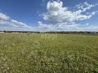 Участок в Мордовия, Лямбирский район, Берсеневское с/пос, пос. ... - Фото 2