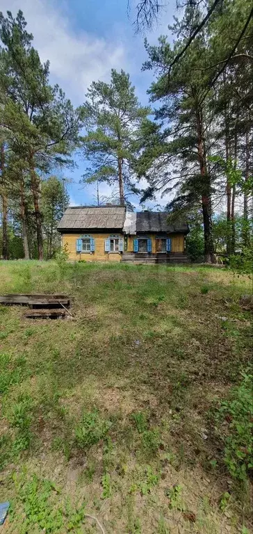 Участок 20 сот. (ИЖС) - Фото 0