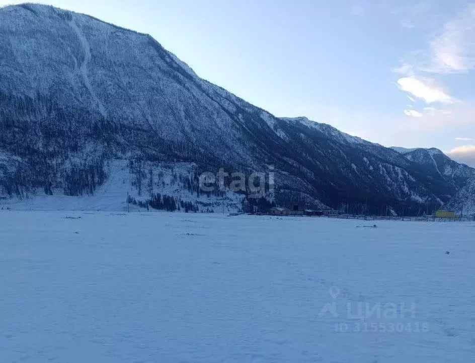 Участок в Алтай, Улаганский район, с. Чибит ул. Новая, 19 (12.0 сот.) - Фото 1