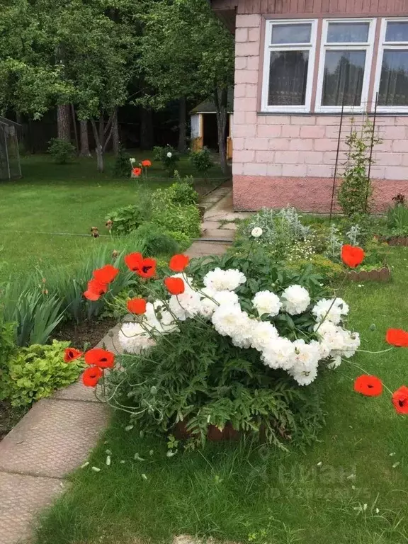 Дом в Калужская область, Боровский муниципальный округ, Лесное-2 СНТ  ... - Фото 2