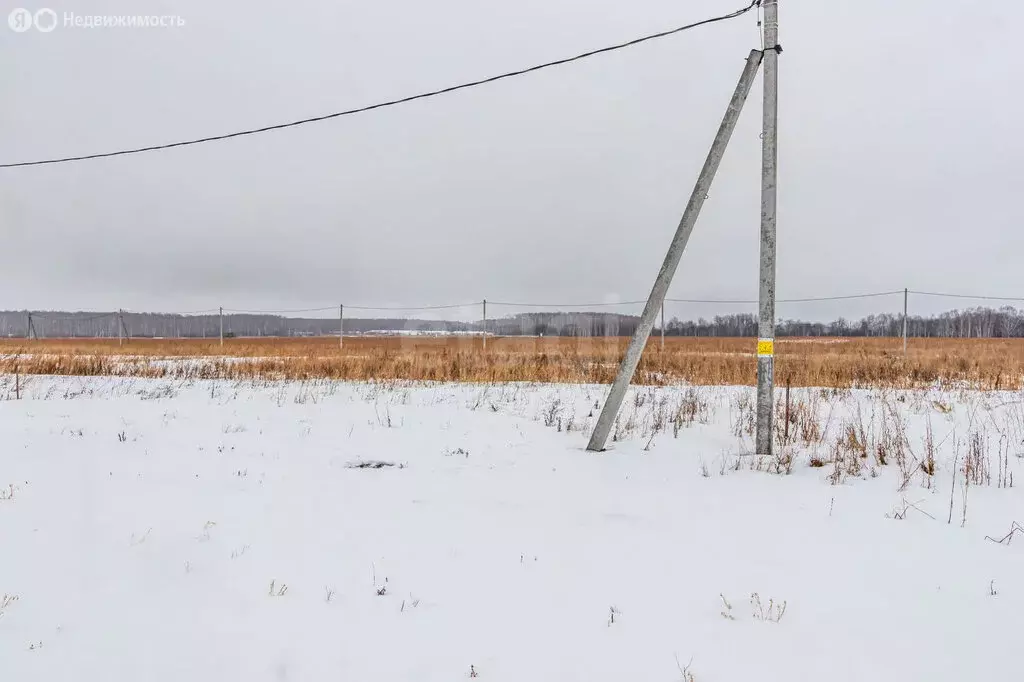 Участок в Тюмень (8.36 м) - Фото 2