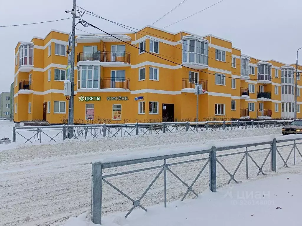 Студия Ленинградская область, Всеволожский район, Дубровское городское ... - Фото 2