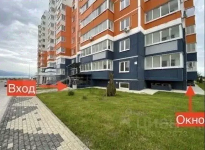 Помещение свободного назначения в Краснодарский край, Новороссийск ... - Фото 0