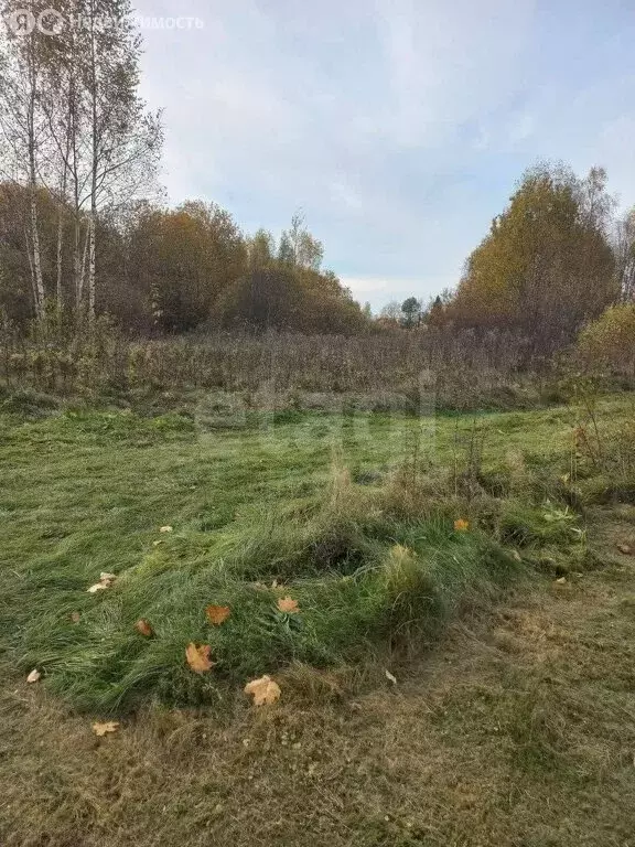 Участок в Костромской район, Шунгенское сельское поселение, деревня ... - Фото 0