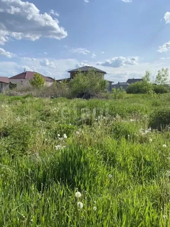 Участок в Воронежская область, Новоусманский район, с. Бабяково ... - Фото 0