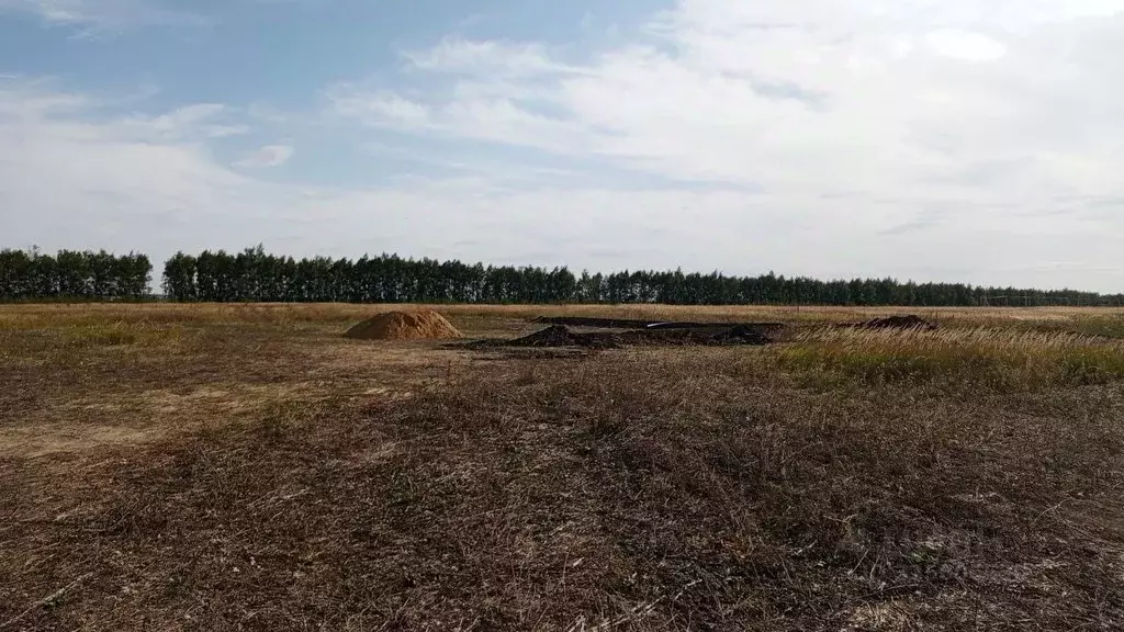 Участок в Тамбовская область, Тамбовский муниципальный округ, д. ... - Фото 1