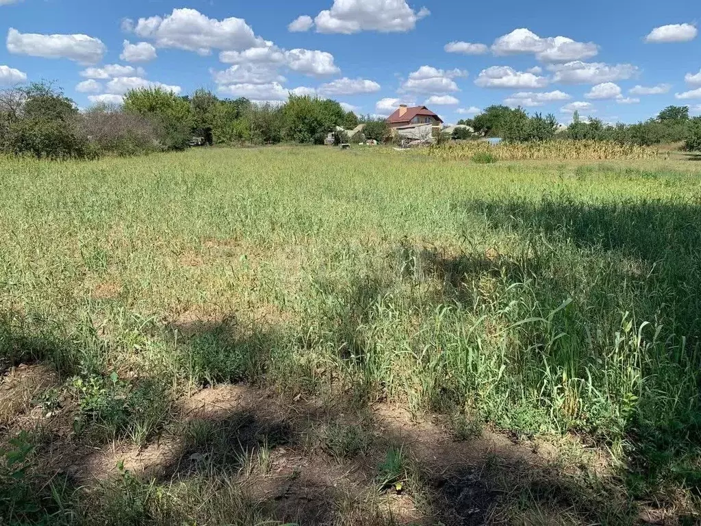 Участок в Ростовская область, Родионово-Несветайский район, ... - Фото 2