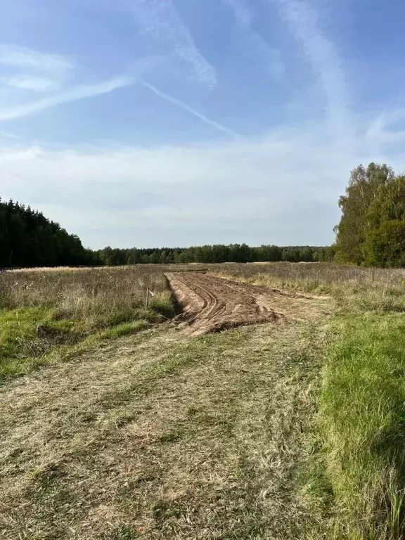 Участок в Московская область, Раменский муниципальный округ, Опушкино ... - Фото 2