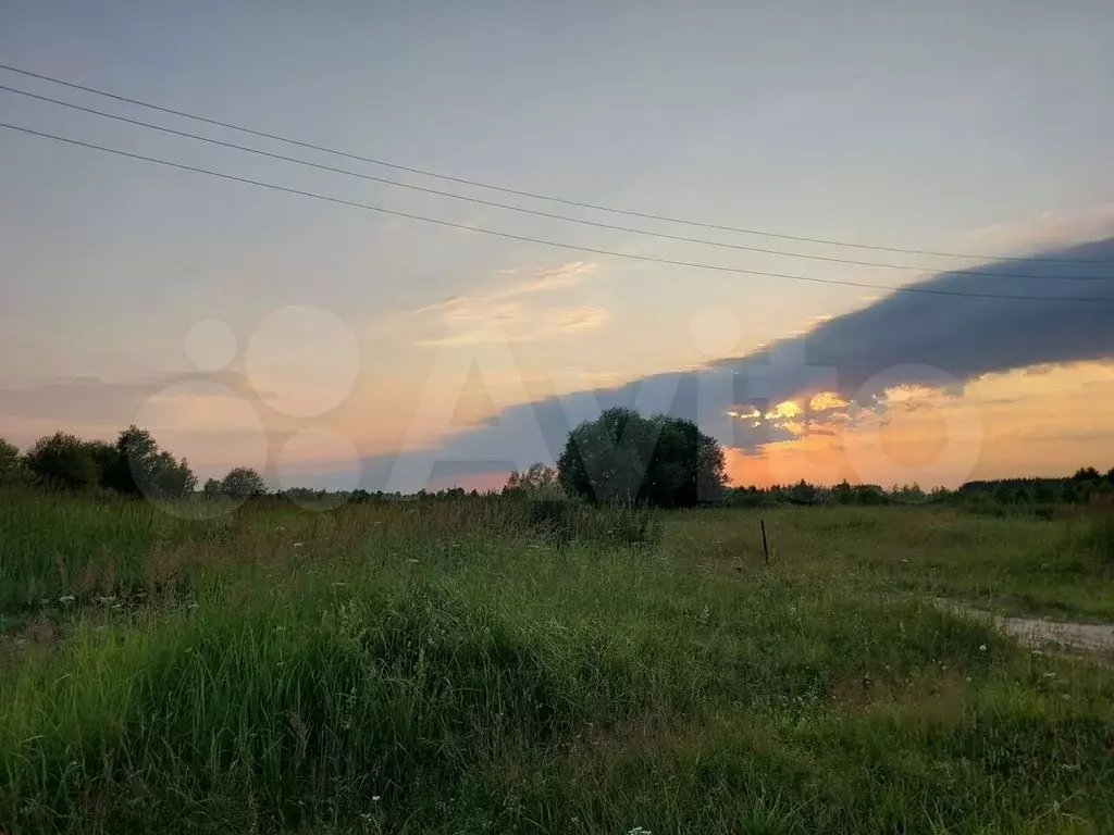 Участок 25 сот. (ИЖС) - Фото 0
