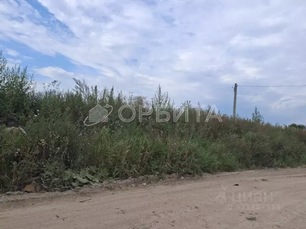 Участок в Тюменская область, Тюмень Велижанский тракт, 9-й км (15.0 ... - Фото 1