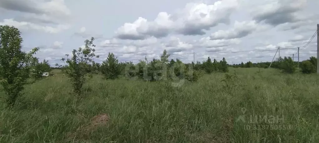 Участок в Калининградская область, Гурьевский муниципальный округ, ... - Фото 0