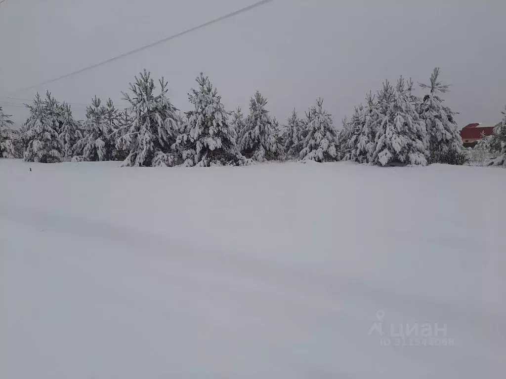 Участок в Московская область, Раменский городской округ, с. Речицы ул. ... - Фото 0