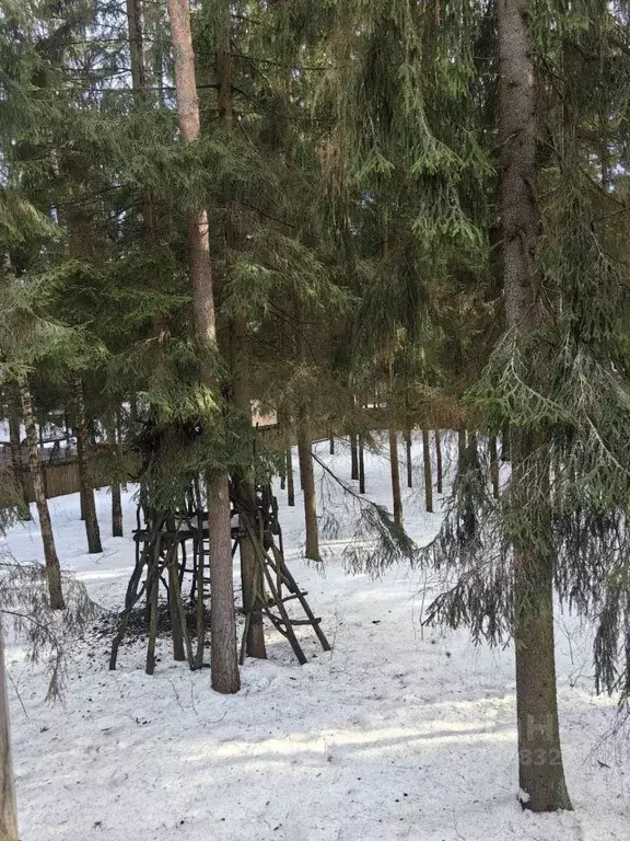 Участок в Московская область, Одинцовский городской округ, д. Сивково, ... - Фото 2