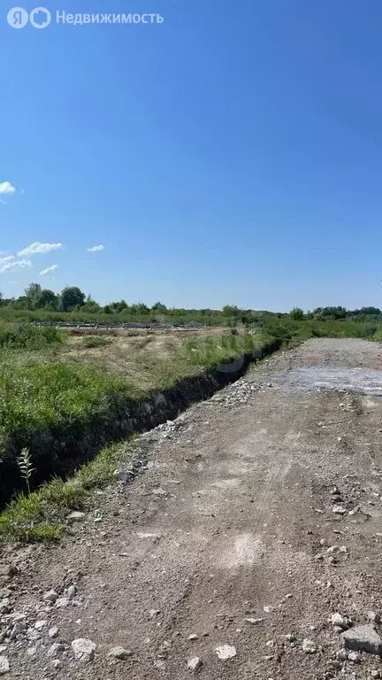 Участок в Калининградская область, Гурьевский муниципальный округ, ... - Фото 0
