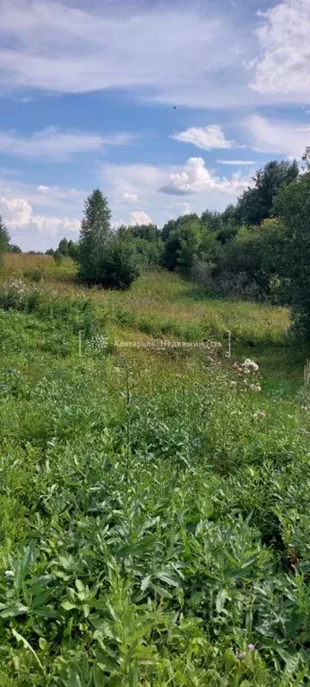 Участок в Томская область, Томский район, д. Новомихайловка пер. ... - Фото 2