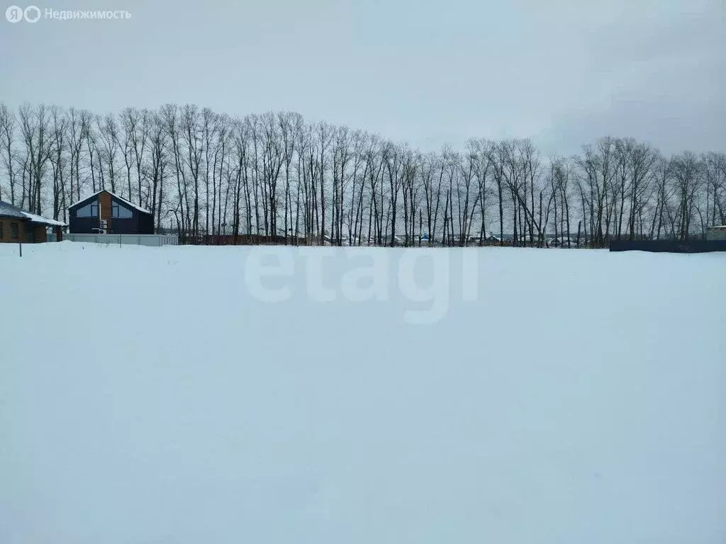 Дом в Ульяновский район, Тимирязевское сельское поселение, деревня ... - Фото 2