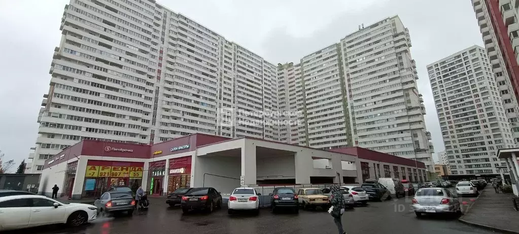 Студия Санкт-Петербург пос. Шушары, ул. Валдайская, 6к2 (25.0 м) - Фото 1