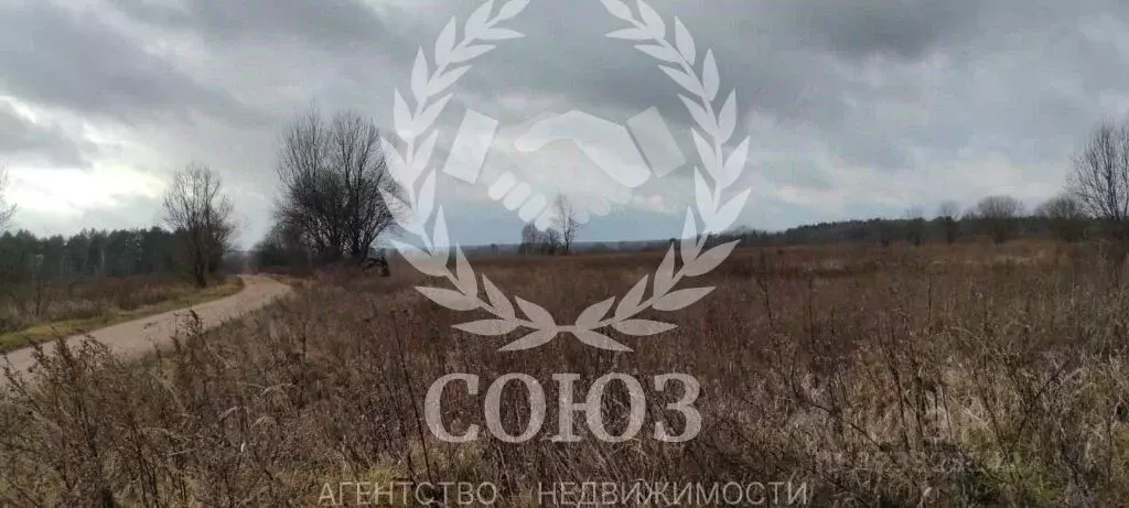 Участок в Калужская область, Мосальский муниципальный округ, пос. ... - Фото 1