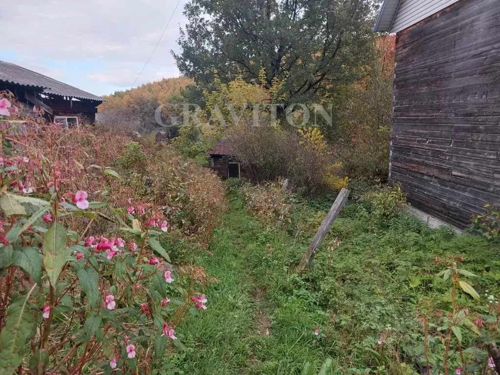 Дом в Алтай, Горно-Алтайск Депутатская ул. (24 м) - Фото 1
