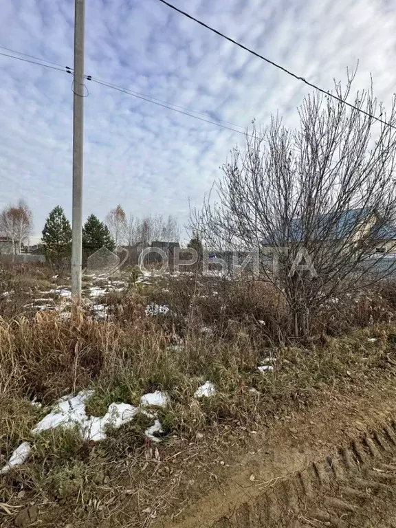 Участок в Тюменская область, Тюменский муниципальный округ, с. ... - Фото 1