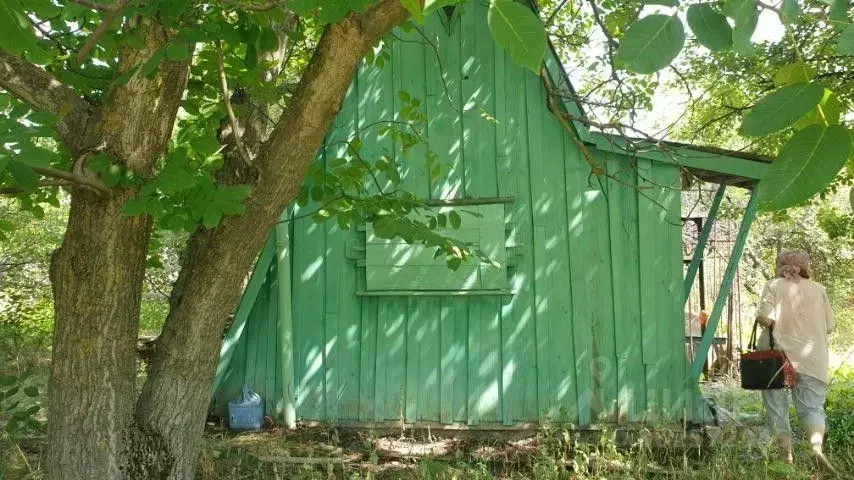 Участок в Белгородская область, Яковлевский городской округ, с. Шопино ... - Фото 0