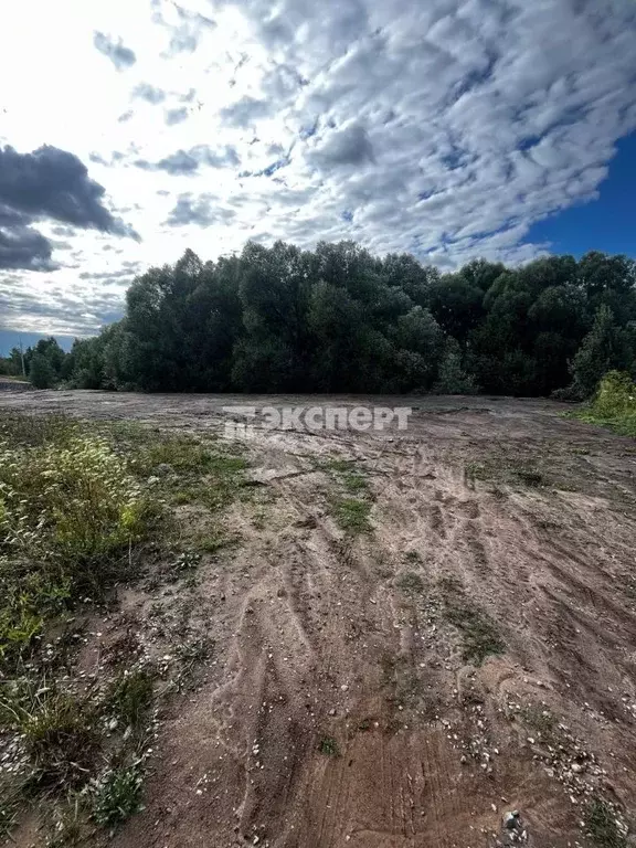 Участок в Татарстан, Пестречинский район, Богородское с/пос, с. ... - Фото 0