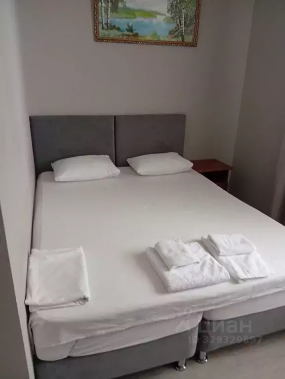 Комната Краснодарский край, Сочи ул. Просвещения, 126А (18.0 м) - Фото 2