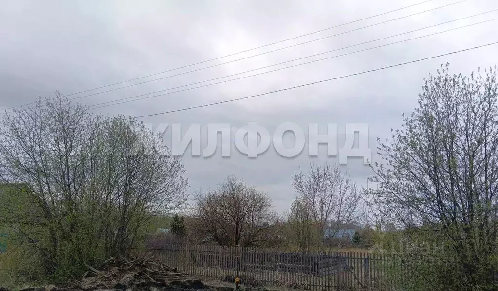Участок в Новосибирская область, Колывань рп ул. Набережная (22.0 ... - Фото 0