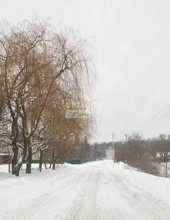 Участок в Курская область, Курский район, Клюквинский сельсовет, пос. ... - Фото 2