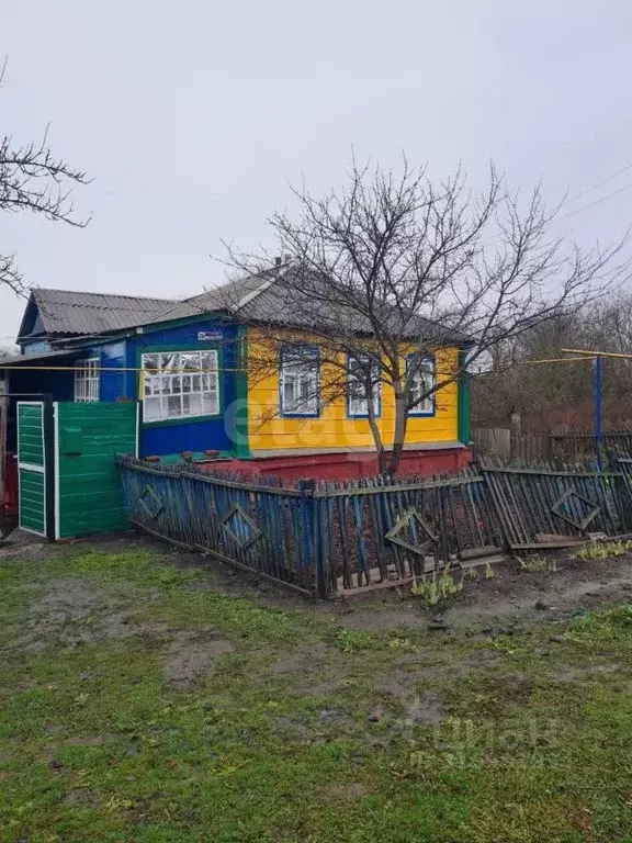 Дом в Белгородская область, Новооскольский муниципальный округ, с. ... - Фото 1