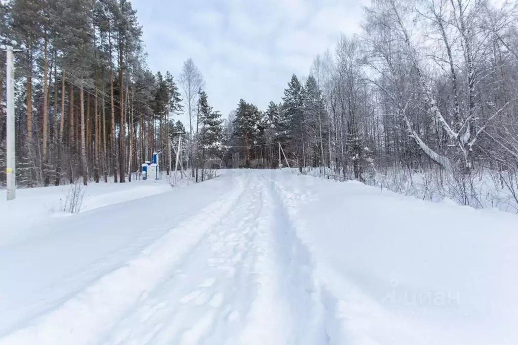 Участок в Тюменская область, Тобольск Микрорайон усадьба, 385 (10.0 ... - Фото 1