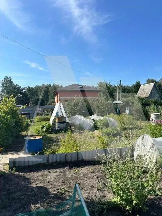 Дом в Омская область, Омск СОСН Лесное тер., аллея 8-я (10 м) - Фото 2