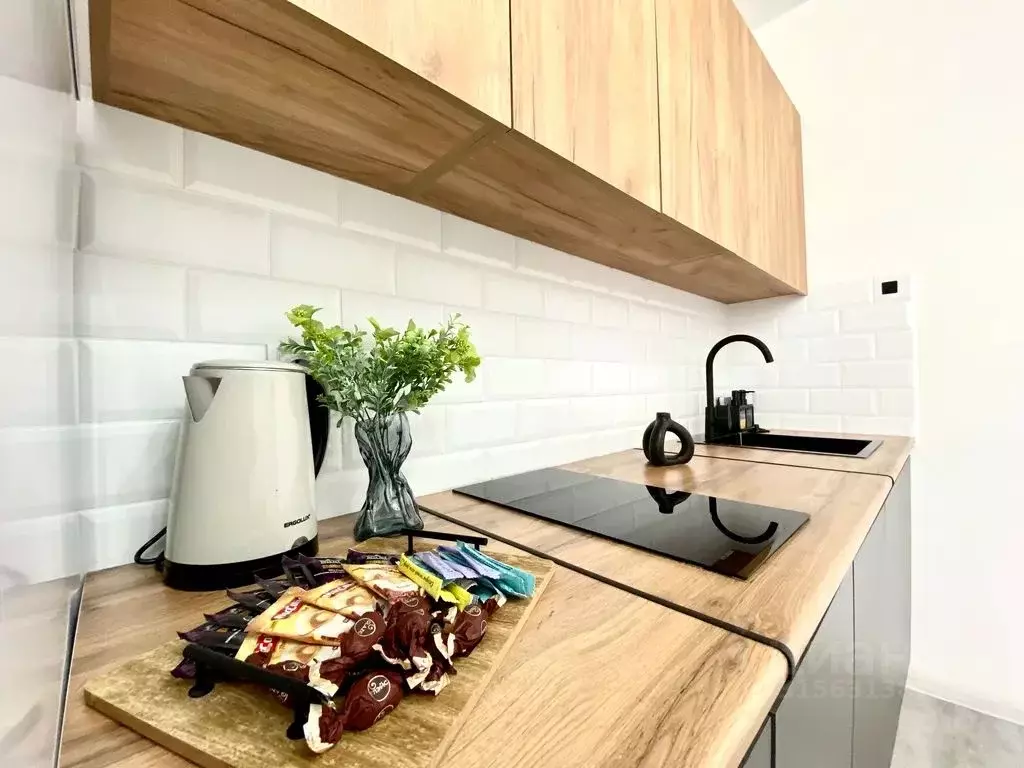 1-к кв. Пензенская область, Пенза проезд 3-й Рахманинова, 2 (45.0 м) - Фото 1