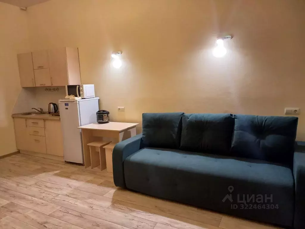 Студия Иркутская область, Иркутск ул. Степана Разина, 21 (29.0 м) - Фото 0