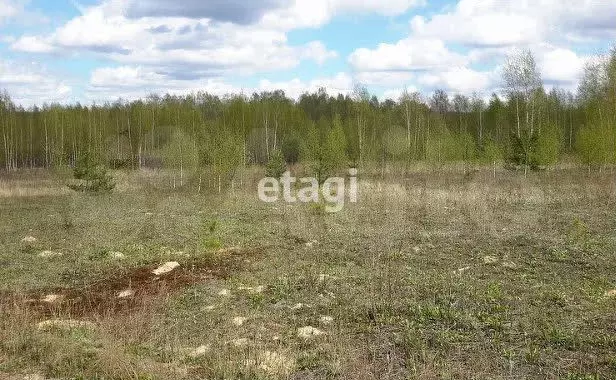 Участок 15 сот. (ИЖС) - Фото 1