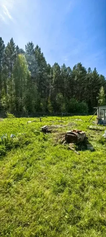 Участок в Томская область, Томский район, с. Межениновка Вокзальная ... - Фото 0