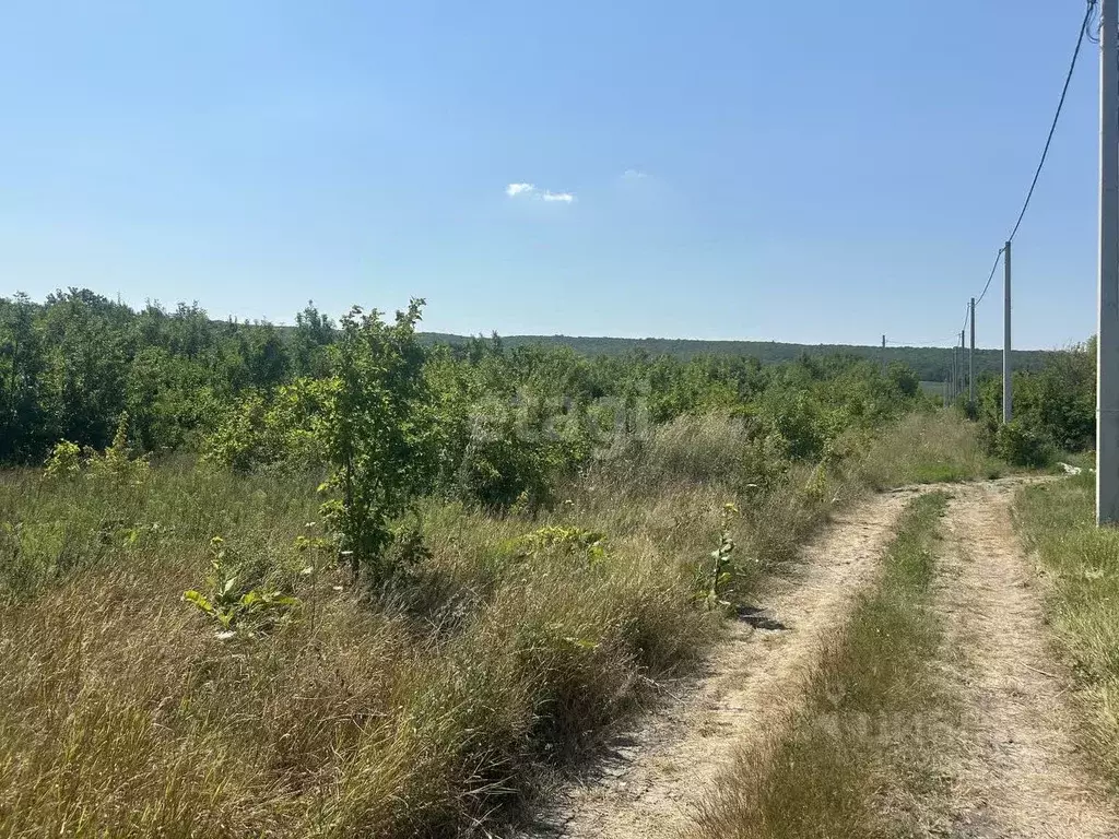 Участок в Краснодарский край, Новороссийск муниципальное образование, ... - Фото 0