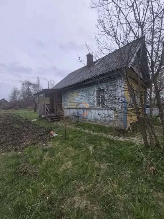 Дом в Новгородская область, пос. Батецкий пер. Типографский, 5 (26 м) - Фото 2
