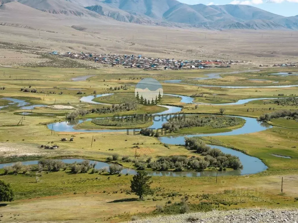 Участок в Алтай, Кош-Агачский район, с. Ортолык ул. Кокышева (10.0 ... - Фото 0