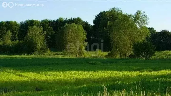 Участок в Ломоносовский район, Ропшинское сельское поселение, деревня ... - Фото 1
