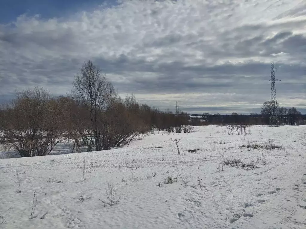 Участок в Пермский край, Пермский район, пос. Юго-Камский ул. Михаила ... - Фото 1