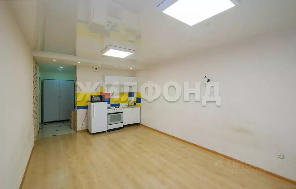 1-к кв. Новосибирская область, Новосибирск ул. Виктора Уса, 13 (27.6 ... - Фото 1