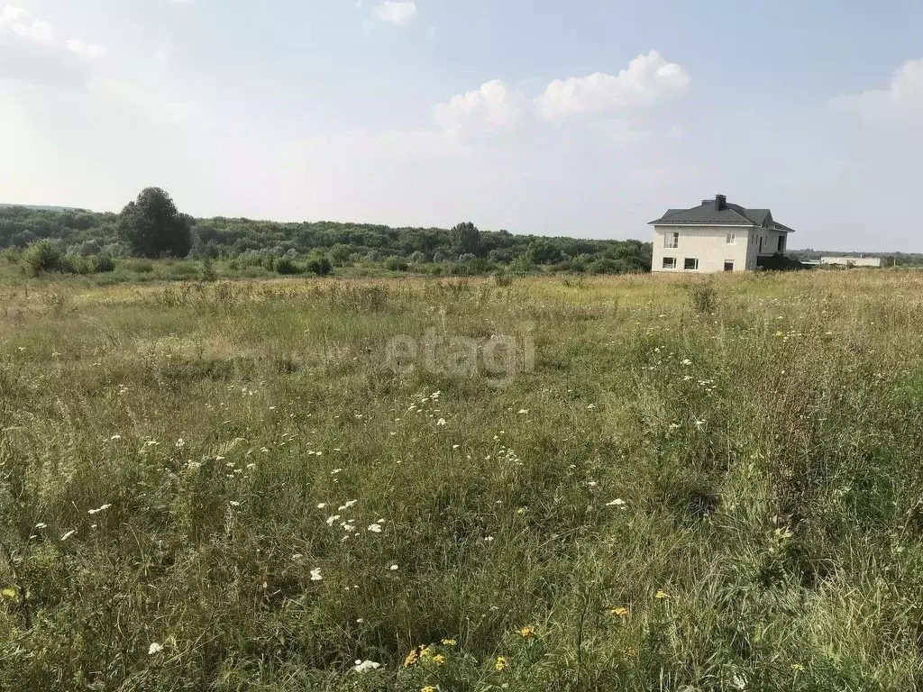 Рамонский район Воронежской области