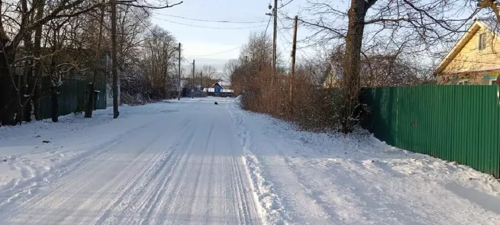 Дом в Новгородская область, пос. Батецкий ул. Юбилейная (41 м) - Фото 1