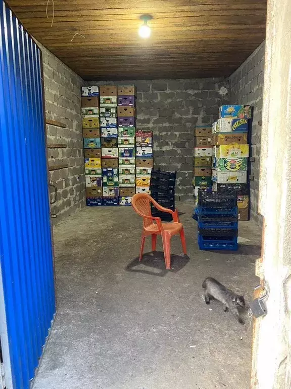 Склад в Краснодарский край, Сочи Урожайная ул., 73А/1 (25 м) - Фото 2