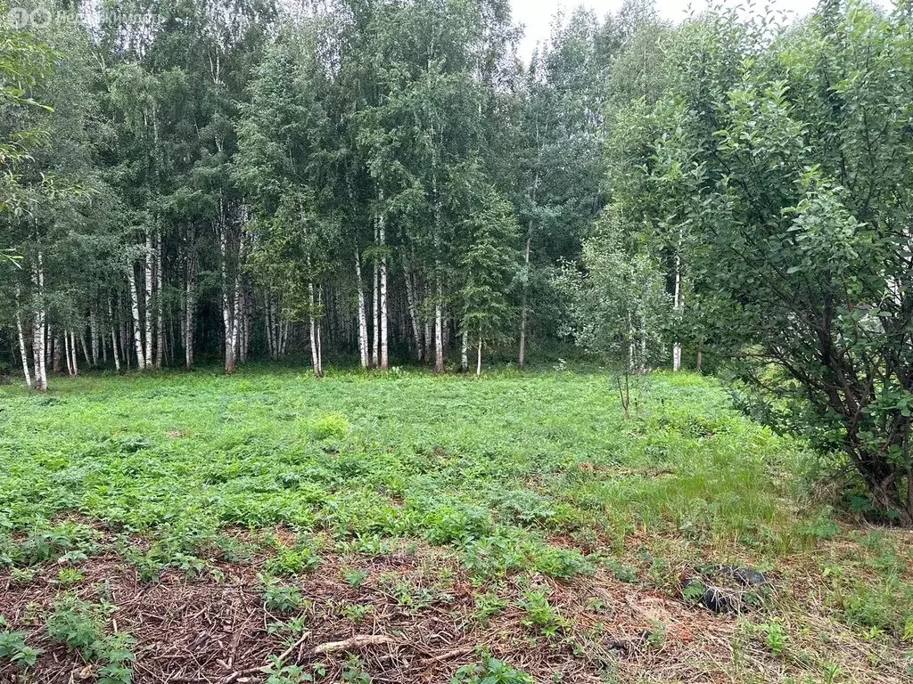 Участок в Киров, СДТ Марковское (15.7 м) - Фото 1