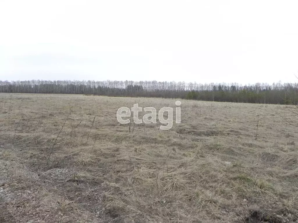 Участок в Нижний Тагил, Грунтовая улица (10 м) - Фото 1