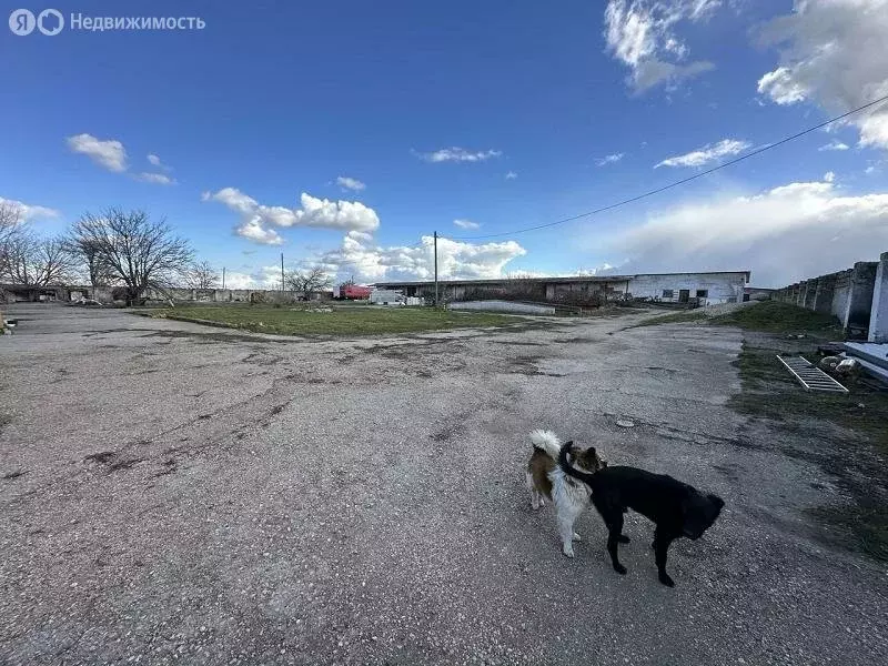 Склад (200 м) - Фото 1